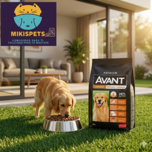 AVANT Avant adulto raza grande