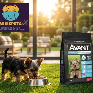 AVANT Avant Raza pequeña CACHORRO