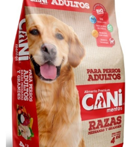 CANI Cani Adulto Raza Grande