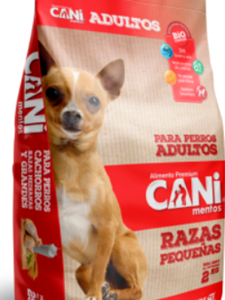 CANI Cani adulto Raza Pequeña